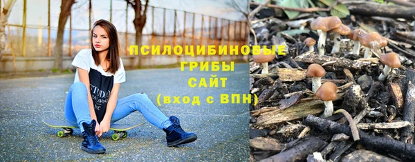 гидропоника Ельня
