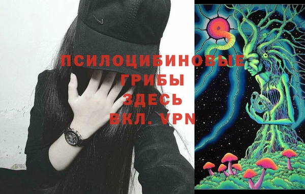 метадон Гусиноозёрск